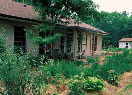 Based largely on permaculture principles, Hanuman’s garden is both bountiful and beautiful. “The concept of giving back at least as much as you take is totally in synch with how I try to live,” she says. “I wanted something that gave a lot, and I didn’t want a lawn to mow.” In her freeform garden, Hanuman groups many different species together, avoiding the monoculture type of planting that tends to attract pests. She builds up her soil with compost and organic matter for rich, healthy dirt. “I have gobs of big, fat worms,” she says. The result is a fertile bed for the herbs, flowers, and fruits that Hanuman grows. A fan of vining flowers, Hanuman planted a moonflower over her front door that produces five to six blossoms per night.